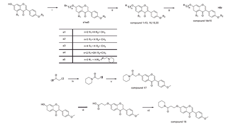 Scheme 1. The general procedure for the synthesis of compounds 1–20. (i): K2CO3, acetone, Br(CH2)nBr, 60 °C; (ii): RH (amines), K2CO3, DMF/Acetonitrile, 100 °C, 3 h; (iii): 40% HBr, 120 °C, 3 h; (iv): piperidine, THF r.t. 10 h; (v): formononetin, K2CO3, acetone; (vi) K2CO3, 3-bromopropionic acid, acetone, 60 °C, 2 days; (vii) DMF, N, N-diisopropylethylamine, piperidine, 12 h, r.t.