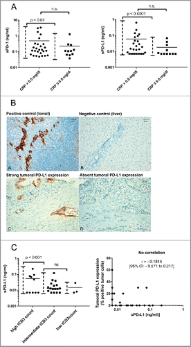 Figure 3. (A) Distribution of sPD-1 (left figure) and sPD-L1 (right figure) in patients with normal vs. elevated CRP. Differences in mean were tested using a Student's t-test, differences in distribution pattern were tested using an F-test. (B) Immunohistochemical staining of PD-L1 in controls (A, B) and exemplary pancreatic cancer tissue (C, D). Magnification = × 200. Scale bars indicate 50 µm. (C) Correlation analysis of sPD-L1 levels with tumoral CD3+ T cell infiltration (left figure) and tumoral PD-L1 expression (right figure) in advanced pancreatic cancer patients; Left figure: Correlation of sPD-L1 with tumoral CD3+ T cell infiltration (tCD3 count), differences between groups were tested using an F-test. Right figure: Correlation of sPD-L1 levels with tumoral PD-L1 expression, Pearson coefficient analysis was used to test for a potential correlation.