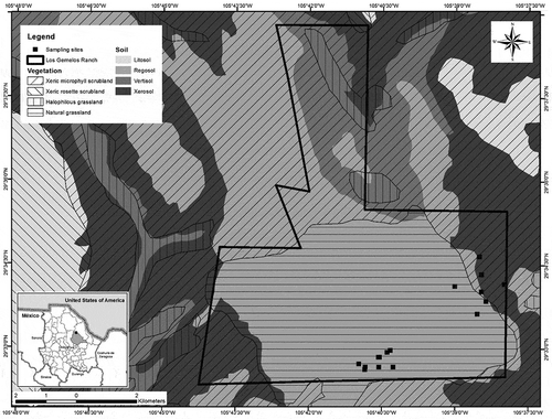 Figure 1. Los Gemelos Ranch, Aldama, Chihuahua. Cartographic map with topography indicating vegetation differences among the two localities, old net and the pulpit.