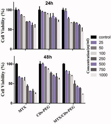 Figure 5. The cell viability study of human breast epithelial adenocarcinoma (MCF-7) cell after incubation of methotrexate (MTX), PEG passivated carbon dots (CDs-PEG) and MTX loaded CDs-PEG (MTX/CDs-PEG) at various concentrations (µg/mL) for 24 and 48 h.