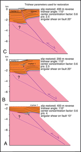 Figure 8 Development (from A to C) of upsection propagation of the Cape Foulwind Fault and truncation of the folded TBU and overlying cover sequence modelled by progressive restoration (from C to A) using the trishear parameters indicated in the figure. This section is part of section T04 (CK81-7, Fig. 7C). Legend as in Fig. 7. The proposed interpretation envisages the presence of an inherited normal fault not breaching through the TBU during the extensional stages, but is also compatible with propagation of a new reverse fault in the Neogene (see text). Note that the propagation/slip ratio (p/s) diminishes from 4 to 2.5 from stage A to stages B and C. Restoration performed using Move v.2013 (Midland Valley, http://www.mve.com).