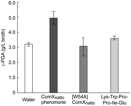 Fig. 2. Effects of ComXnatto pheromone on γ-PGA production of B. subtilis subsp. natto.