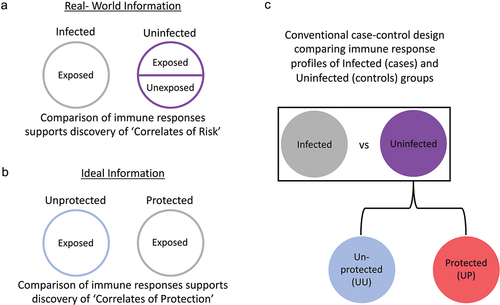 Figure 1. The labeling problem in correlates analysis. (a) In field trials of vaccine efficacy with pathogens that are not universally prevalent, the infected study group is comprised of vaccine recipients who were definitively exposed to the virus, while the uninfected study group consists of both vaccine recipients who were and others who were not exposed to the virus. (b) The ideal information needed to support discovery of Correlates of Protection (CoP) is the true protection status of exposed individuals. (c) Case-control analysis based on infection status defines Correlates of Risk (CoR) based on comparison of immune response features of infected vaccine recipients (gray) with those observed among uninfected vaccine recipients (purple). However, unless all vaccine recipients were exposed and/or the vaccine is completely effective, the uninfected class is comprised of subjects that exhibit a protective response (red, UP-uninfected protected) and those that do not (blue, UU-uninfected unprotected), but remained uninfected because they were not exposed. While CoR discovery power is improved by increasing the sample size of the uninfected class, it remains reduced by the inclusion of UU subjects.