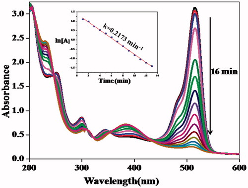 Figure 5. UV- vis spectra and ln [A] versus time plot for the degradation of eosin Y using NaBH4 catalyzed by AgNP-E. scaber (0.02 mg/mL).