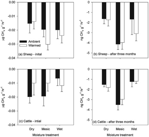 FIGURE 4. Methane fluxes from soil turf samples incubated in the laboratory under contrasting moisture and temperature regimes from (a) sheep areas initial analysis, (b) sheep areas after 3 months' incubation, (c) cattle areas initial analysis, and (d) cattle areas after 3 months' incubation. Mean and SE are shown (n = 9). Negative values indicate net oxidation of CH4. Note the different scales in the graphs with the initial (a and c) data compared to the data after three months (b and d). Negative values indicate uptake of CH4.