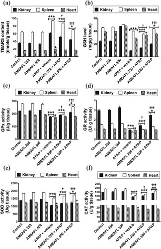 Figure 1. The modulatory effects of AMEAFL on the changes in the oxidant and antioxidant biomarkers in the kidney, spleen, and liver tissues of the intoxicated rats. (a) TBARS: thiobarbituric acid reactive substance; (b) GSH: Reduced glutathione; (c) GPx: Glutathioneperoxidase; (d) GR: Glutathione reductase; (e) SOD: Superoxide dismutase; (f) CAT: Catalase.Notes: Values are means ± SEM. AMEAFL: aqueous methanolic extract of A. fraxinifolius leaves; and N-acetyl-p-aminophenol. *symbol = statistically significant compared to the control group; †symbol = statistically significant compared with the APAP-group.