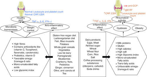 Figure 5. The indirect correlation between different dietary products and the progression of rheumatoid arthritis.(A) The effect depends on how food affects inflammatory responses, normal microbiota, and weight control. (B) Usually, diet rich in fiber, vitamins, omega 3 and low-glycemic index foods contribute to protection from RA incidence. (C) Diets with high salt, high calories and a high glycemic index contribute to RA occurrence or incidence.