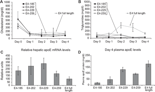 Figure 2. Measurements following adenovirus-mediated gene transfer of full-length and truncated apoE forms in apoA-I−/− × apoE−/− mice. A: Plasma cholesterol, B: plasma triglycerides, C: hepatic apoE mRNA levels of apoA-I−/− × apoE−/− mice infected with recombinant adenoviruses expressing truncated and full-length apoE4 forms, and D: plasma apoE. Doses of adenovirus used were 4 × 109 pfu apoE4-185, 2 × 109 pfu apoE4-202, 1.5 × 109 pfu apoE4-229, 3 × 109 pfu apoE4-259, and 5 × 108 pfu full-length apoE4. Plasma lipids were determined on days 0 through 4, and hepatic apoE mRNA and plasma apoE levels were determined on day 4.