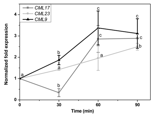 Figure 2.CML9, CML17, and CML23 transcript levels in leaves of A. thaliana 30, 60 and 90 min after treatment with Spodoptera littoralis oral secretion (OS). Leaves were elicited by pattern wheel wounding and subsequently treating the wound with 20 µL water or 1:1 diluted OS per leaf. Transcript abundance in leaves was determined by real-time PCR analysis and normalized to the plant RPS18B mRNA level. The fold change was calculated relative to control which was mechanical wounding + H2O. The graph shows x-fold induction of the mRNA levels by the S. littoralis OS relative to the levels in the H2O treated control leaves. Mean (± SE, n = 3). Different letters indicate significant differences between different time points in a single gene expression (ANOVA; p < 0.05). Comparisons between expressions of different genes are not performed.
