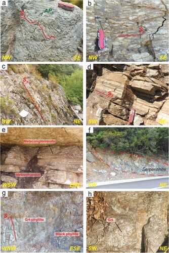 Figure 3. Field appearance of lithologies from the ZMC. (a) Folded quartz- and feldspar-rich ribbons in the ultramylonitic orthogneiss along the Taravu river, East of Bagnes de Guitera. (b) Mylonitic augen gneiss with quartz porphyroclasts surrounded by a fine-grained brownish matrix, from the roadcuts along the D757a road. (c) Paragneiss from the OU cropping out West of the Taravu river in the Mela Frisciata locality. (d) Intercalation of metabasites (dark layers) and ‘leptynites’ (white layers) from the LAU in a roadcut along the D757a road. (e) Metaconglomerate from the LAU with quartz and feldspar pebbles in a fine-grained matrix along the D757a road. (f) NE-dipping serpentinite lens embedded in basic metavolcanic rocks from the LAU along the D757a road. (g) Brittle, NW-dipping shear zone, perhaps accommodated by a previous lithological boundary between green and black phyllites in the MU, from a roadcut in locality Gierbarella. (h) Field appearance of the Grt-St-micaschists from the MU with millimetric to centimetric garnets in a white mica-rich matrix.