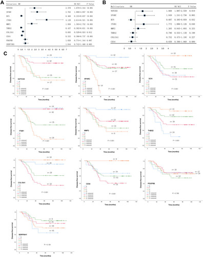 Figure 5 Identification of prognostic hub genes for DFS. (A) Univariate Cox regression analysis of predictors of DFS. (B) Multivariate Cox regression analysis of predictors of DFS. (C) Kaplan-Meier analysis of the ten hub genes.Abbreviation: DFS, disease-free survival.