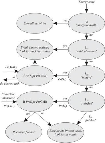 Figure 2. Structural scheme of energetic homeostasis.