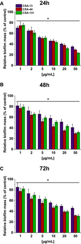 Figure 4 Relative biofilm mass of P. aeruginosa during treatment with CSA-13, CSA-44, and CSA-131. Formation of biofilm in the presence of CSAs ranging from 1–50 μg/mL was assessed using the resazurin-based fluorimetric method after 24 (A), 48 (B), and 72 (C) hours incubation. Results show mean±SD from three measurements. * indicates statistical significance.