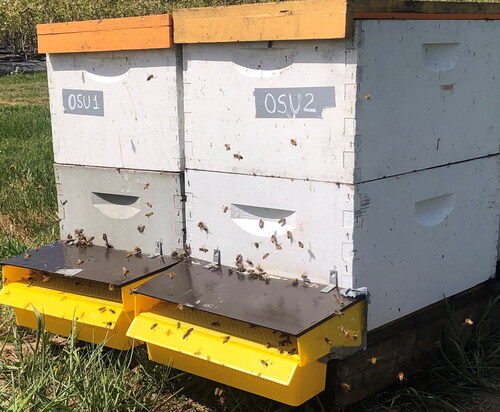 Figure 8. Pollen traps installed at entrances of hives.