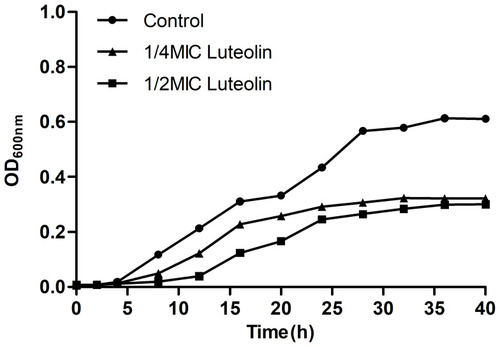 Figure 1 Effect of luteolin on the growth curve of T. pyogenes. Data are presented as mean (± SD) of three replicates.
