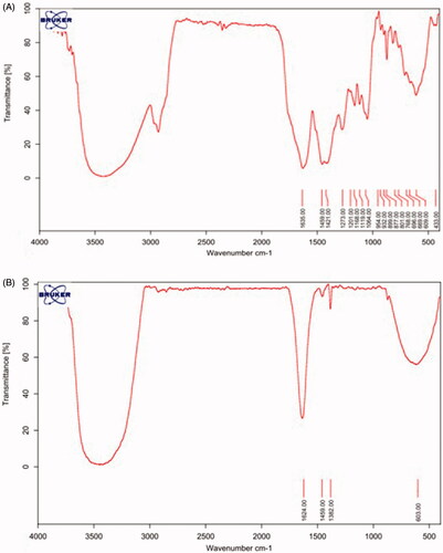 Figure 4. FT-IR spectra of Artemisia turcomanica leaf extract (A) and phytosynthesized nanoparticles (B).