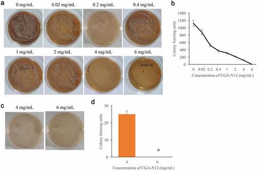 Figure 1. The MIC and MFC of CGA-N12 on C. albicans were measured. (a) MIC was measured through colony forming assays; (b) Colony-forming units were analyzed after treatment with different concentrations of CGA-N12; (c) MFC was measured through colony-forming assays; (d) Colony forming units were analyzed after treatment with different concentrations of CGA-N12. *P < 0.05 compared with group 4 mg/mL CGA-N12.