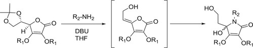 Scheme 4. Synthesis of 3,4-bis-O-alkyl-1-alky1-5-(2-hydroxyethyl)-5-hydroxy-1,5 -dihydropyrrol-2-ones.