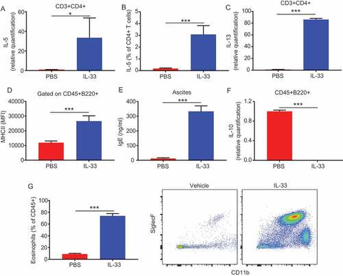 Figure 4. IL-33 promotes peritoneal CD4 T-cell and B cell activation and eosinophil recruitment.