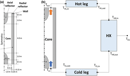 Fig. 2. Simulation domain of the reference MCFR: (a) reactor vessel dimension and (b) reference MCFR system.