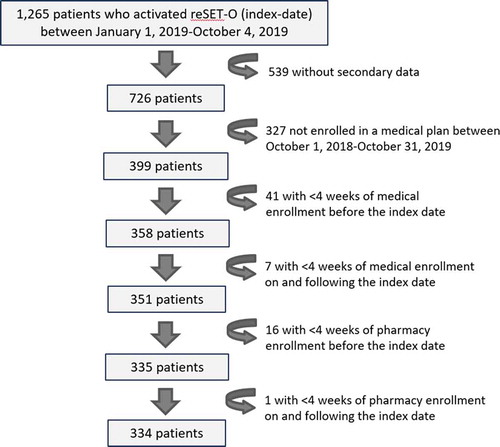 Figure 2. Patient enrollment