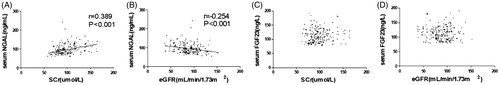 Figure 2. Correlation between SCr and serum NGAL (A), between eGFR and serum NGAL (B), between SCr and serum FGF23 (C), between eGFR and serum FGF23 (D).