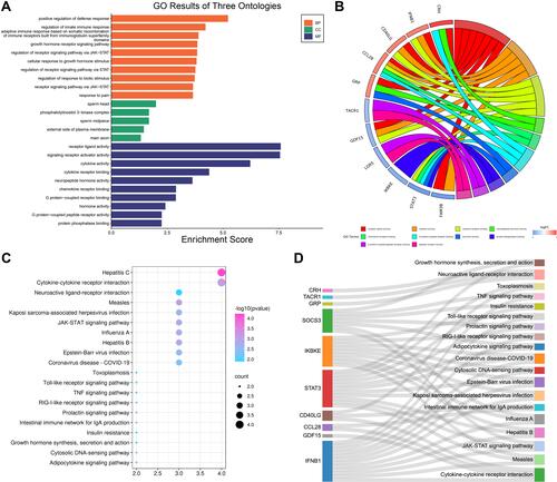 Figure 9 Functional enrichment analysis of OIDEGs. (A) The top 20 GO terms with significantly differential expression from the GO enrichment analyses. (B) The most significant functions of hub enriched OIDEGs. (C) The top 20 KEGG pathways with significantly differential expression from KEGG enrichment analysis. (D) The most significant pathways of hub enriched OIDEGs.