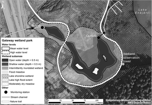 Figure 3. Monitored water level fluctuation within the Gateway wetland impacts vegetation distribution. Background photograph from April 2010 shows the site right after excavation. Construction road, which was strictly used to avoid area compaction, shows in the centre. Continuous water monitoring stations are shown at the inflow and outflow of the wetland.