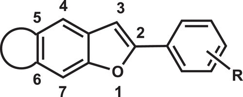 Figure 8. Basic backbone of moracins.