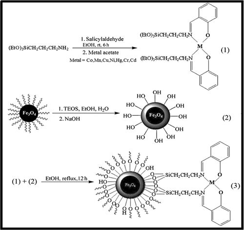 Scheme 2. Process for preparation of Schiff base complex of metal ions functionalized Fe3O4@SiO2 nanoparticles.