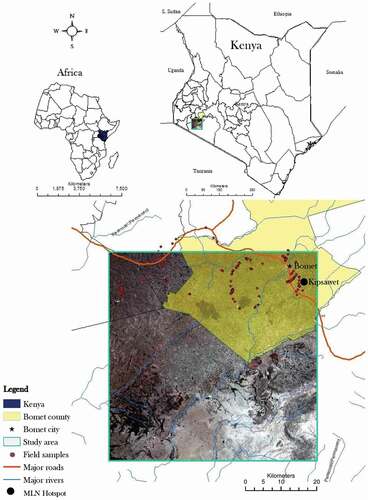 Figure 1. Bomet study area in Kenya and Maize Lethal Necrosis (MLN) hotspots collected in 2015.