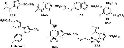 Figure 2. Clinically used classical sulfonamide CA inhibitors.