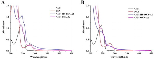 Figure 2. The UV–Vis spectra of different antigens. (A) UV–Vis spectra of AVM–BSA immunogens and (B) UV–Vis spectra of AVM–OVA coating antigens.