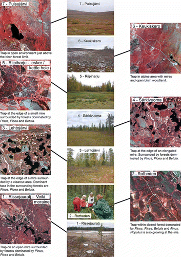 Figure 2. Aerial photographs of the pollen trap sites. All the photographs represent 3 × 3 km and north is to the top. The pollen trap sites are indicated by an inversed triangle and the circles around the sites mark an area with a radius of 500 m from each site. The main tree species referred to in the figure are Pinus sylvestris, Picea abies, Betula pubescens ssp. tortuosa, Betula pendula, Alnus incana and Populus tremula.