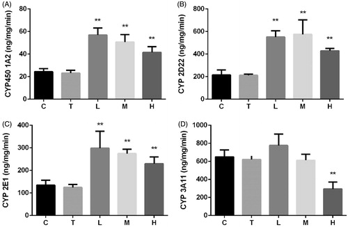 Figure 5. Effect of citral on activities of CYP450 (A) 1A2, (B) (C) 2D22, 2E1, and (D) 3A11 enzymes. *p < 0.05; **p < 0.01, significantly increased versus control. C (control), T (Tween), L (low), M (middle), and H (high).