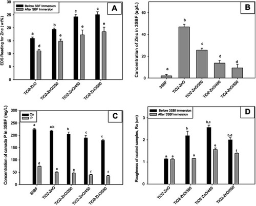 Figure 3 The effect of heat treatment on the composition and the leaching of TiO2–ZnO coating during the synthesis of the composite coating. (A) The total concentration of zinc on the differently heat treated TiO2–ZnO discs before and after exposure to 3SBF by EDS analysis. (B) The total concentration of zinc in the 3SBF measured by ICP-MS after 24 -hr exposure. (C) The concentration of total calcium and phosphorus in the 3SBF measured by ICP-MS after 24-hr exposure. (D) Surface roughness (Ra values) for the different TiO2–ZnO coatings before and after immersion in 3SBF, read by Olympus Laser Microscope LEXT OLS3100. Different letters indicate statistically significant differences (ANOVA or Kruskal–Wallis, P<0.05) between the type of coating for each measurement. Data are mean ± SEM, n=3 replicates per treatment.