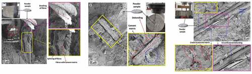 Figure 12. SEM images at failure surface of tested FRC specimen: a) under compressive load, b) under split-tensile load and c) under flexure load.