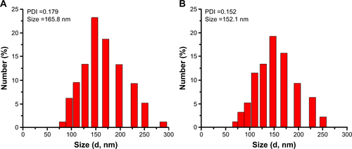 Figure S3 Hydrodynamic diameter distribution of Ag-MSNs@CHX in (A) pH =7.4 and (B) pH =5.0 of water.Abbreviations: Ag-MSNs@CHX, chlorhexidine-loaded, silver-decorated mesoporous silica nanoparticles; PDI, polydispersity index.