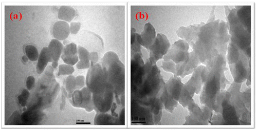 Figure 10. TEM images of (a) 5 wt% F-Al2O3 and (b) F-TiO2 reinforced CPBz nanocomposites.