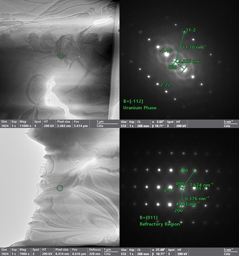 Fig. 11. Diffraction patterns of both the refractory and U phases of the MoNbTiU2 alloy. The two phases are shown to be distinct BCC phases.