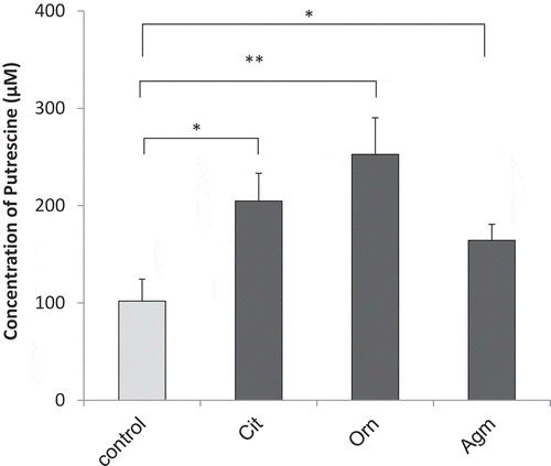Figure 4. Putrescine production from exogenous intermediates Production of putrescine in faecal cultures supplemented with 1 mM citrulline (Cit), ornithine (Orn), and agmatine (Agm) (n = 7), as measured by UPLC; error bars represent standard error; *, p < 0.05; **, p < 0.01 by Student’s t-test versus control.