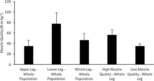 Figure 3. Mean and standard deviation values of upper, lower, and whole leg muscle quality and the whole leg muscle quality of the high and low muscle quality groups.