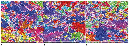 5. EBSD maps with IPF colouring with thin black lines for misorientations 2–20° and thick white lines for misorientations >20°: coiling temperatures were a 180°C, b 320°C and c 500°C; magnification marker is 50 μm