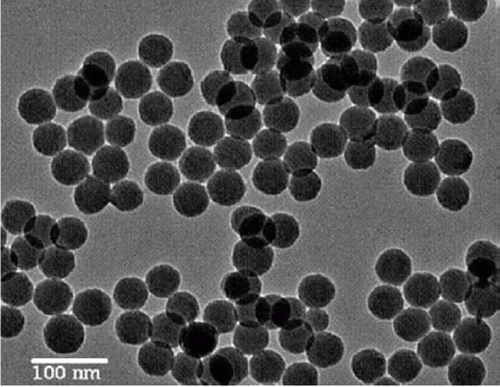 Figure 1.  TEM image of silica nanoparticles used as catalysts for the one step, three-component synthesis of highly substituted pyridines (13). Reprinted with permission from Elsevier © 2009.