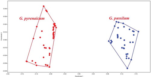 Figure 2. Multidimensional scaling plots of morphological characters, separating two Geranium species groups from each other.