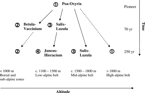 Figure 5 Schematic summary of regional successional trajectories and rates in relation to altitude: full arrows indicate directional change; dashed arrows indicate no further directional change. Note that numerical values for altitude and time are approximate and that low- and mid-alpine trajectories in particular are affected by small-scale topographic variation and associated habitats, such as snowbed distribution and exposure. Successional stages along each trajectory approximate to the numbered vegetation units defined in this paper.