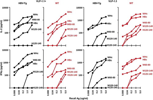 Figure 6. Analysis of CD4+ Th cell response to PreS1-WHc VLP immunization in HBV-Tg mice. Groups of three HBV-Tg or wildtype (B6/BALBc), mice were immunized (s.c.) with 20ug of either PreS1-WHc VLP-1.1+ or VLP-1.3 emulsified in IFA. Four weeks later spleen cells were harvested and cultured (5x105) with varying concentrations of the indicated WHcAg, HBcAg or WHc(W)- or HBc(H)-derived synthetic peptides. Culture supernatants were collected at 48 h for IL-2 determination and at 96 h for IFNγ determination by 2-site ELISA. The results represent single mice but are representative of three mice/group.