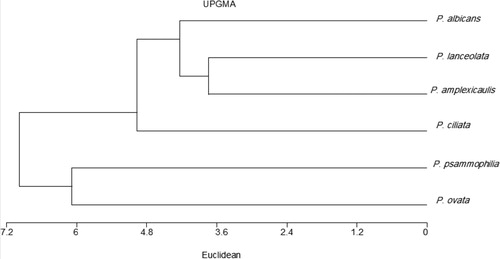 Figure 9. UPGAMA phenogram showing the relationships between the studied taxa of Plantago based on morphological, cytological parameters and molecular attributes.