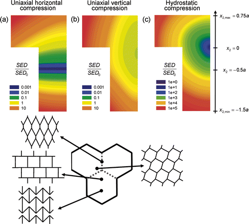 Figure 2. Contour plots of the strain energy density (SED) for different irregular periodic honeycombs, renormalised to have the same relative density, under uniaxial horizontal (a), vertical (b) and hydrostatic (c) compression. Each coloured pixel in the plot represents a honeycomb of different geometry as defined in the text and Figure 1. The SED is normalised by the energy density of the regular hexagonal honeycomb, SED0.