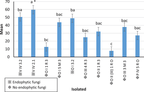 Figure 2. Persistence of spores on the hydrogel substrate after three months of inoculation.